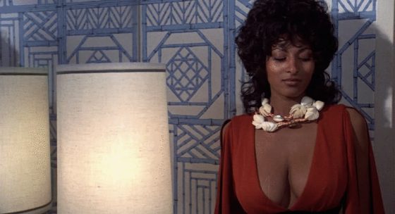 Seductress actress Pam Grier nude scene (gif)